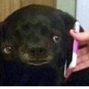 Meet your Posher, Alberto